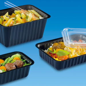 BARQUETTES CLTP : Barquettes PP, micro-ondable (-20°C / +120°C) thermoformées de 250 GR à 2 kg, 191x138mm ou 138x96mm